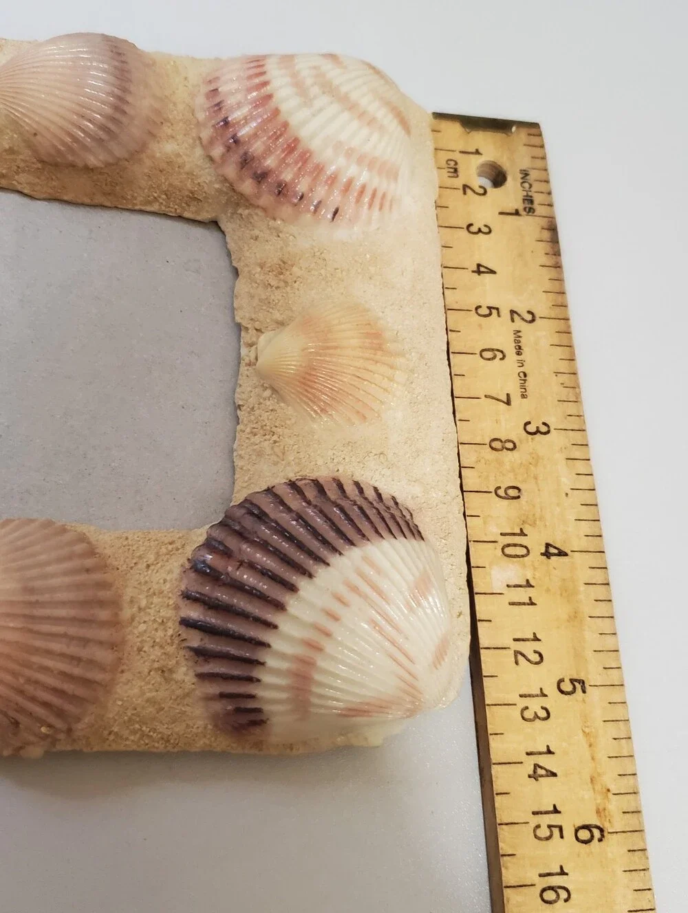 Seashell Sandframe Picture Frame - Natural Beach Ocean Photo Frame